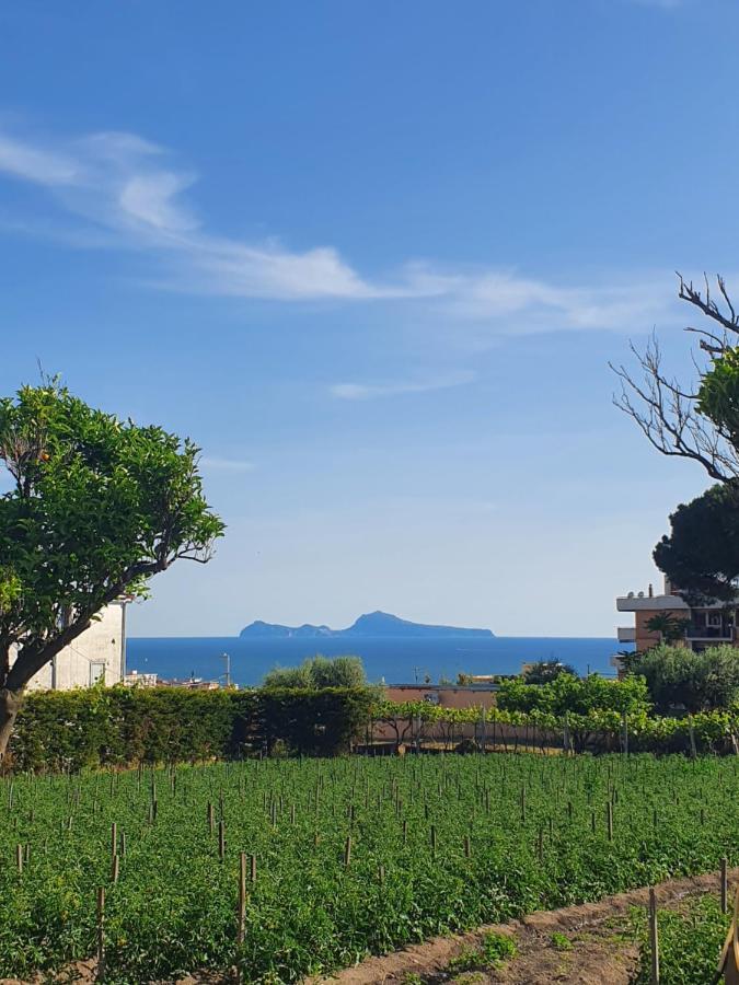 Stone Garden B&B Ercolano Ngoại thất bức ảnh