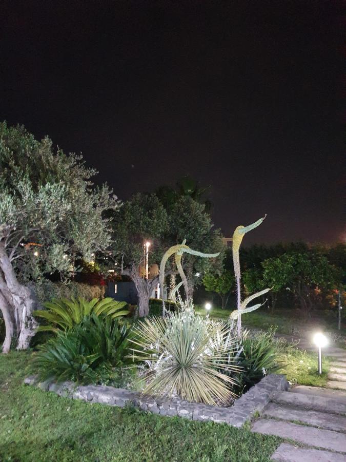 Stone Garden B&B Ercolano Ngoại thất bức ảnh