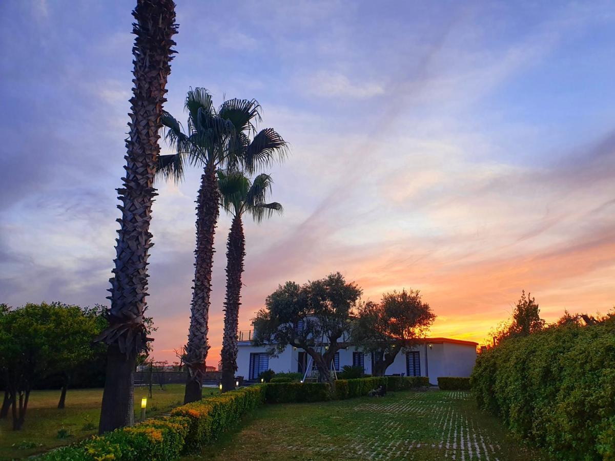 Stone Garden B&B Ercolano Ngoại thất bức ảnh