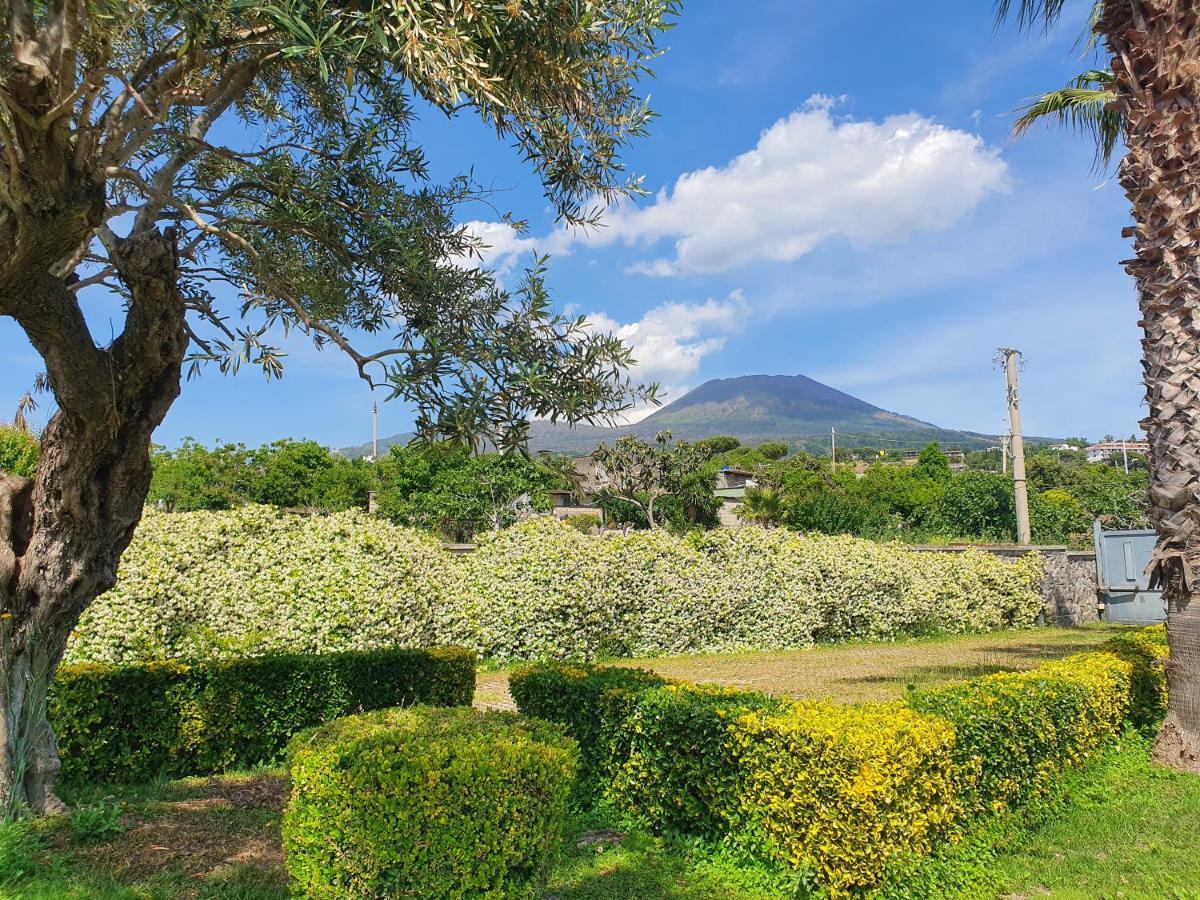 Stone Garden B&B Ercolano Ngoại thất bức ảnh