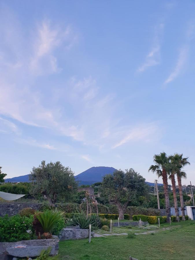 Stone Garden B&B Ercolano Ngoại thất bức ảnh