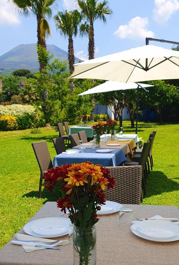 Stone Garden B&B Ercolano Ngoại thất bức ảnh