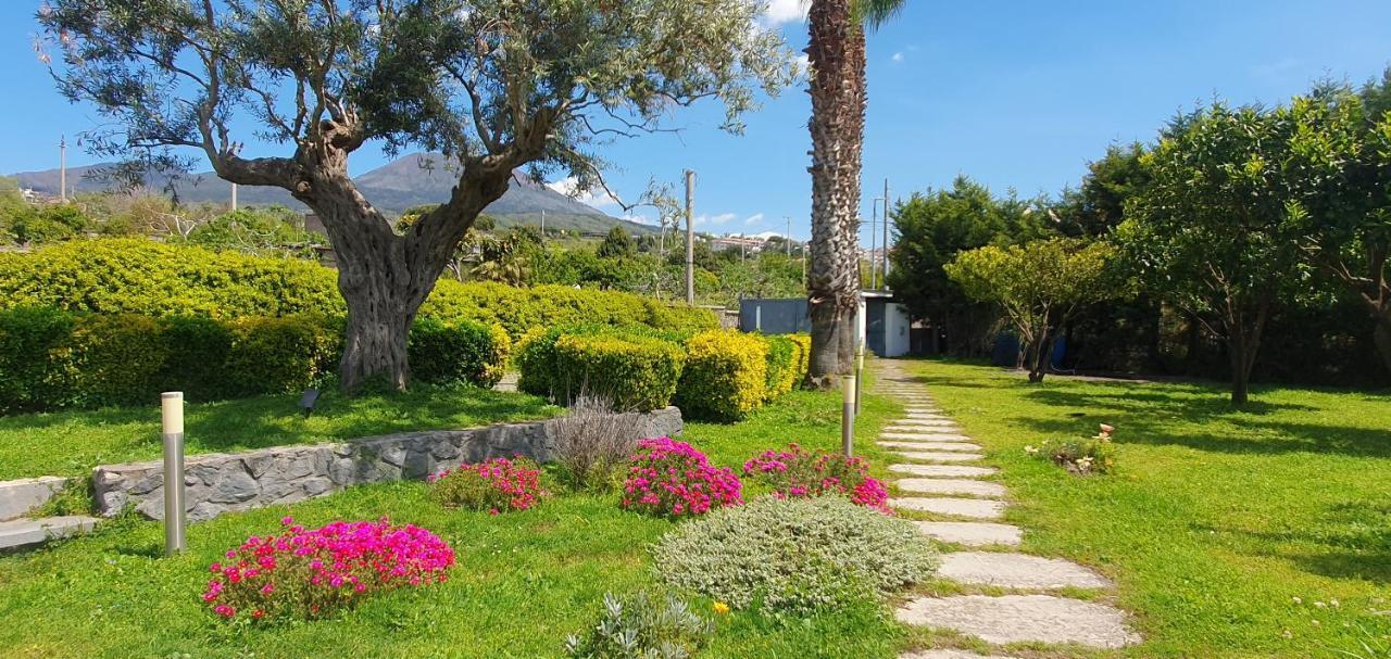 Stone Garden B&B Ercolano Ngoại thất bức ảnh