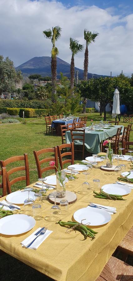 Stone Garden B&B Ercolano Ngoại thất bức ảnh