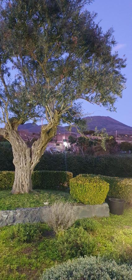 Stone Garden B&B Ercolano Ngoại thất bức ảnh