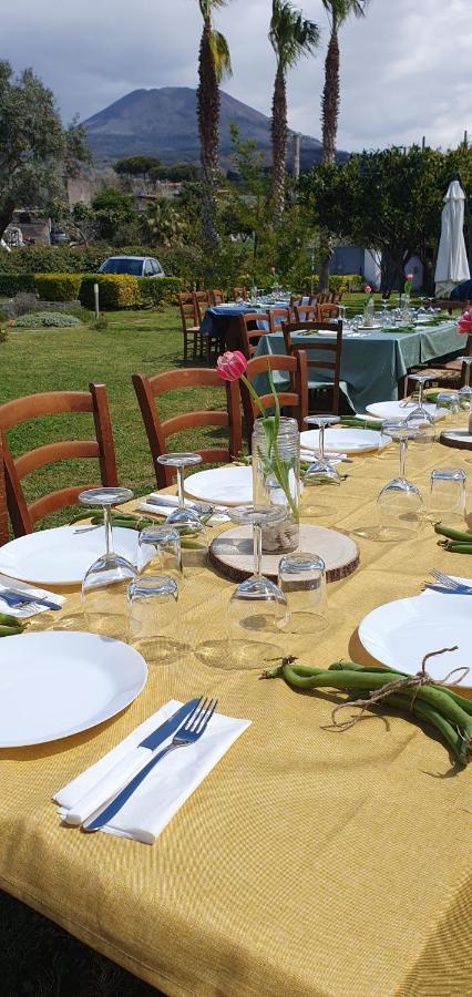 Stone Garden B&B Ercolano Ngoại thất bức ảnh