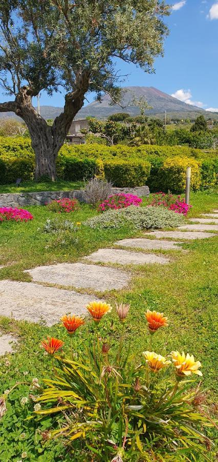 Stone Garden B&B Ercolano Ngoại thất bức ảnh